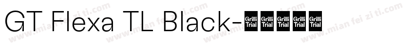 GT Flexa TL Black字体转换